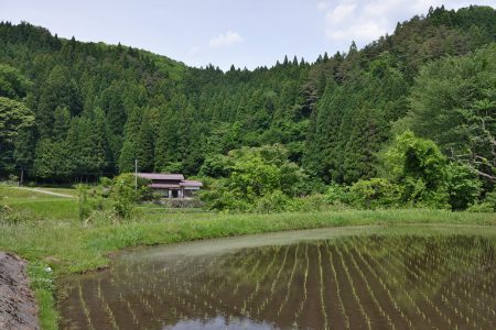 炎天下のマスクに代わるもの