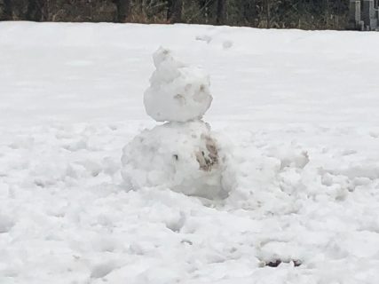 名水と雪ダルマ