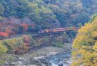 嵯峨野トロッコ列車と紅葉