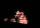 姫路城ライトアップ