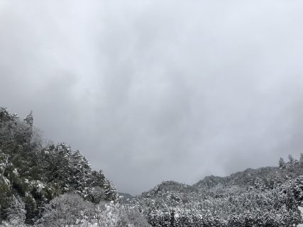 今シーズン初の雪を見た