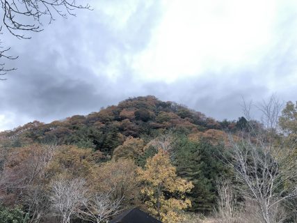 別れが多い年だったのか