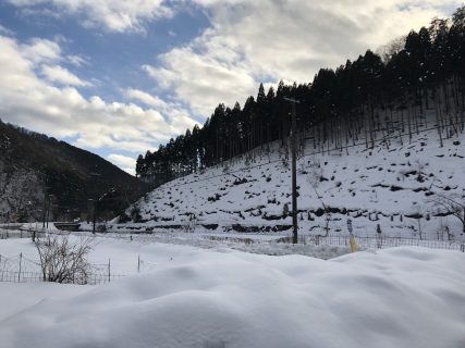 まさしく「大寒」でした