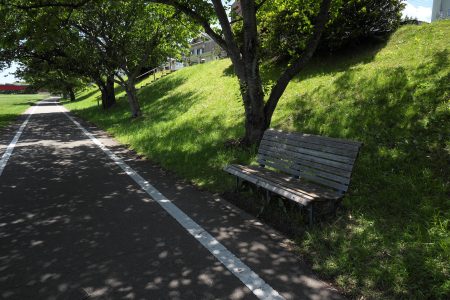 五十日の影響を受けたと感じた