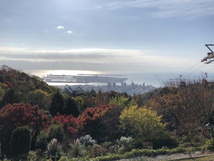 布引きハーブ園の紅葉が綺麗だ