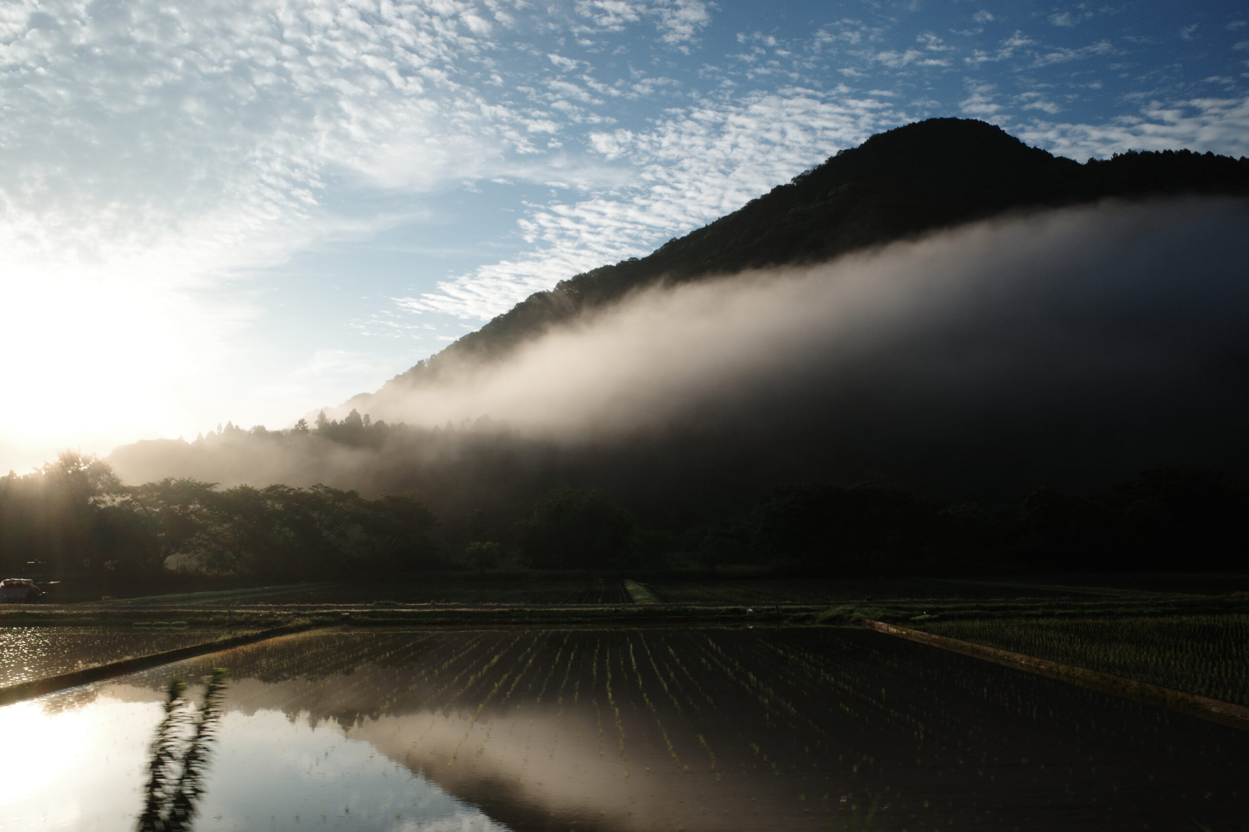 雨上がりの朝