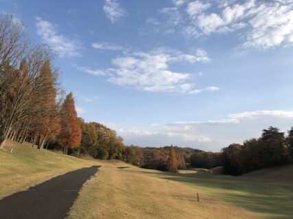 今年最後の○○をしてきた