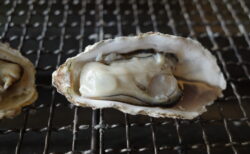 旬の牡蠣を食べてきた