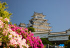 咳が止まらない