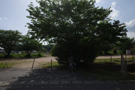 遊びに行って来ます