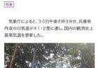 車の購入を検討する