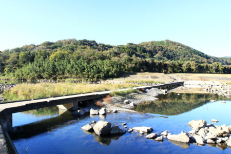 夏バテ気味