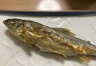 夏バテ防止のための食材を仕入れた