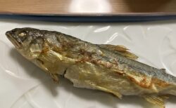鮎の塩焼き