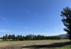 北海道旅行最終日