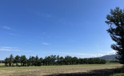 北海道3日
