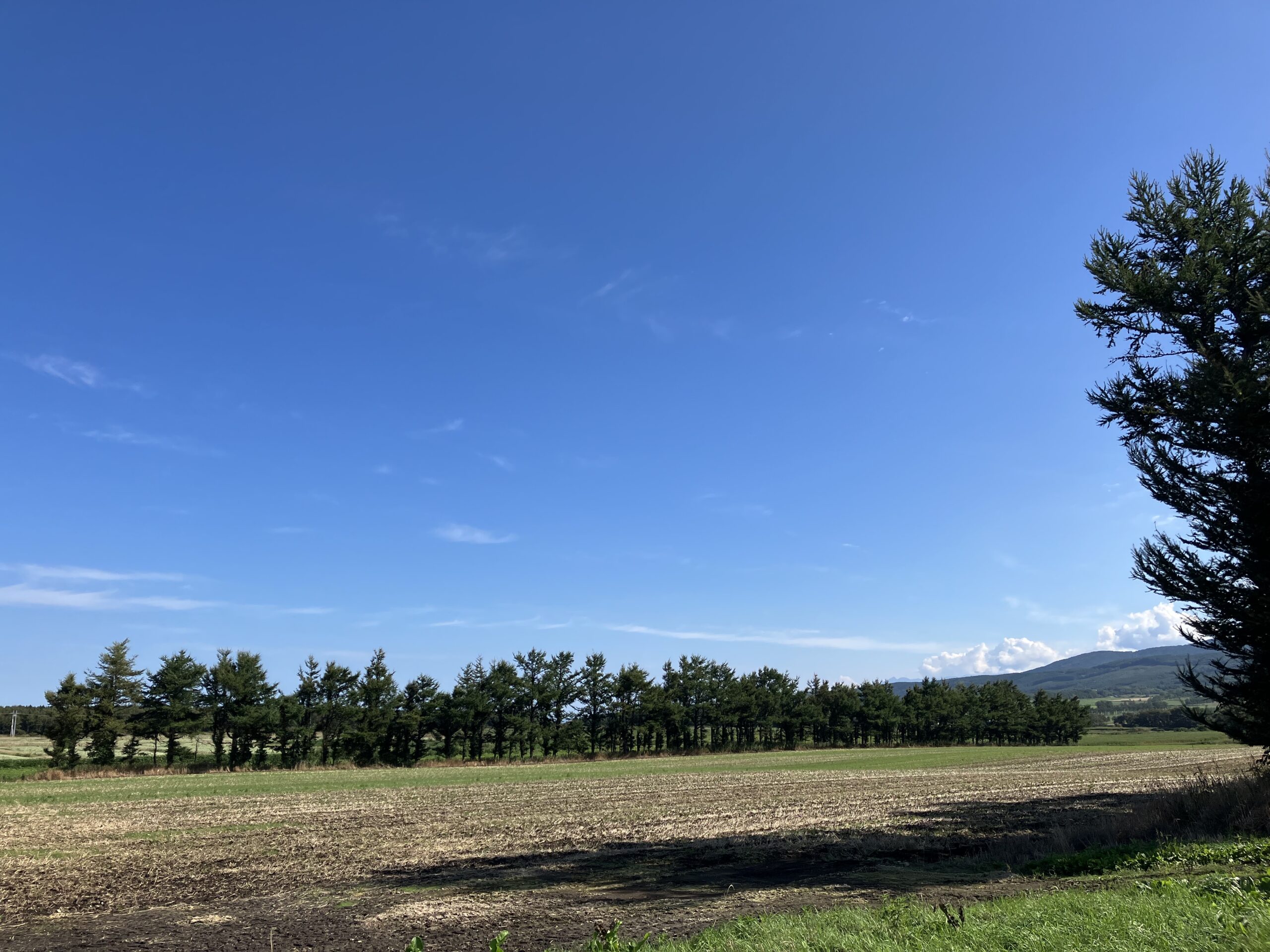 北海道3日