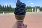 Suicaが使えなくなった