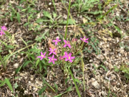 久しぶりに感動した