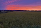 夕陽に向かう道