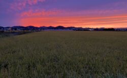 田園と夕焼け
