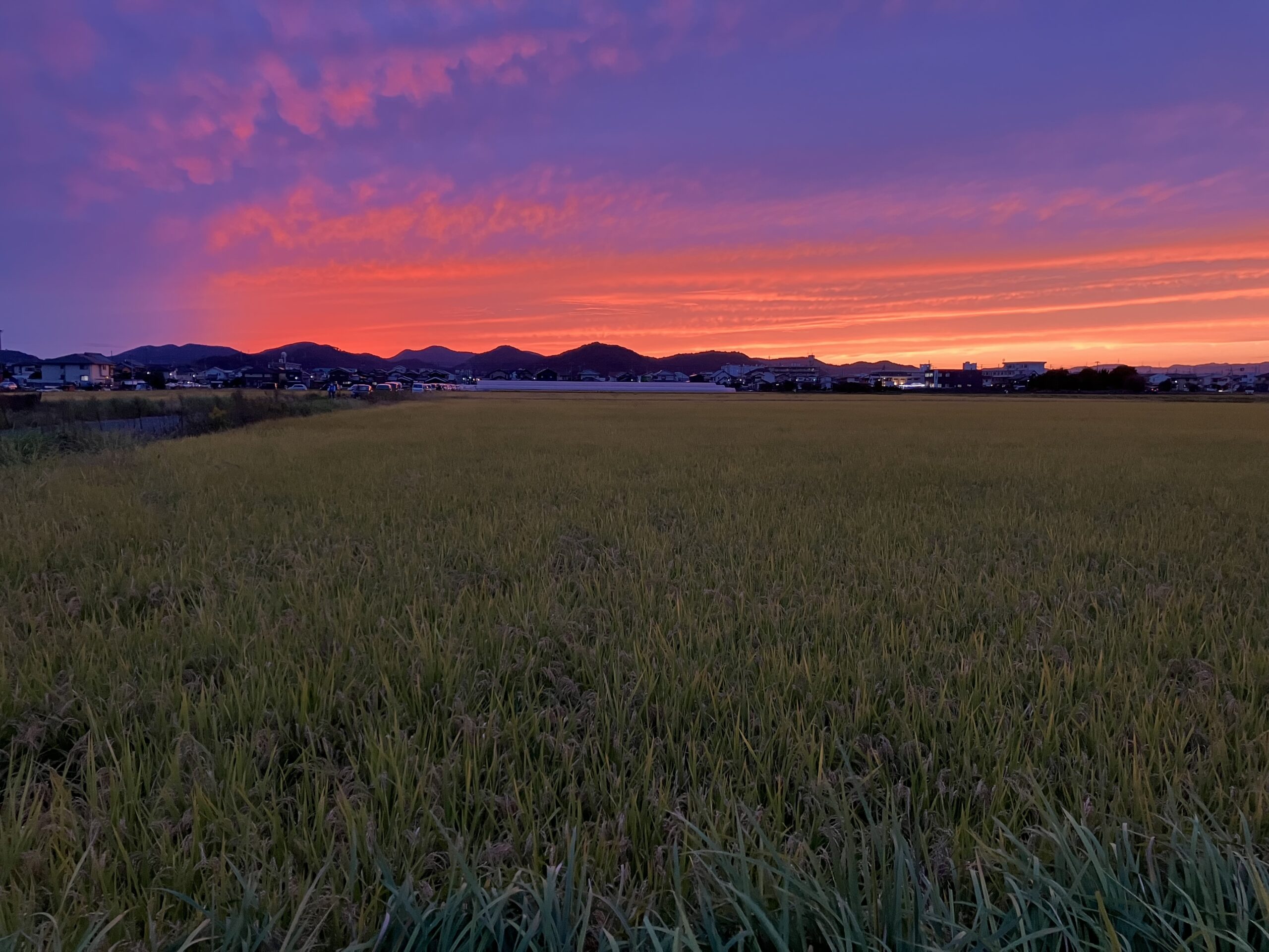田園と夕焼け