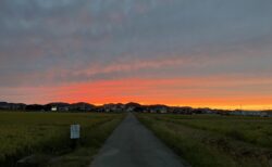 夕陽に向かう道