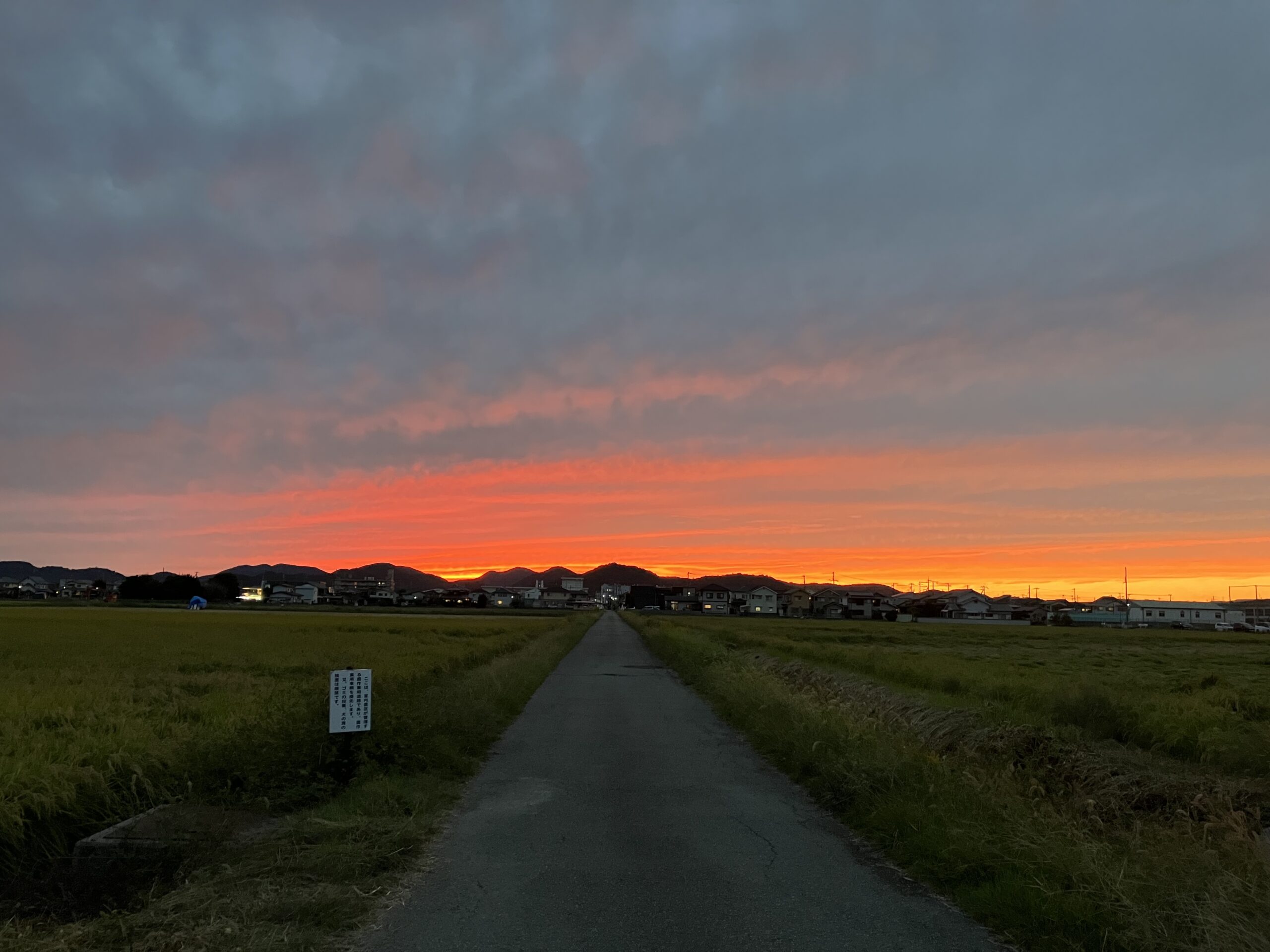 夕陽に向かう道