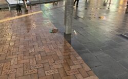 雨の日は撮影日和