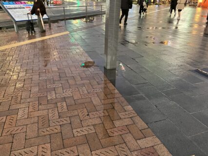 雨の日は撮影日和