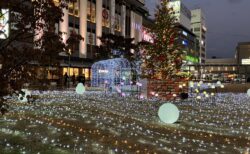 イルミネーション