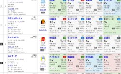 第50回エリザベス女王杯（G1）の見解