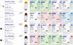 第45回ジャパンカップ（G1）の見解