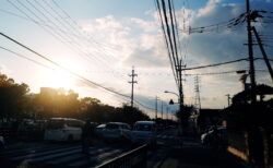 ホワイトミストNo1を初めて使った