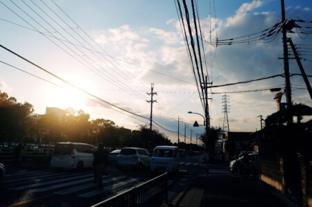 ホワイトミストNo1を初めて使った