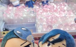 久しぶりにUFOキャッチャー