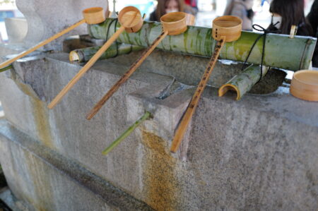 本年もよろしくお願いします