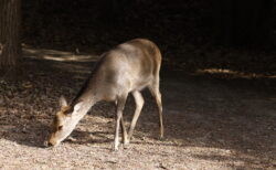 鳥が少ないのかも・・