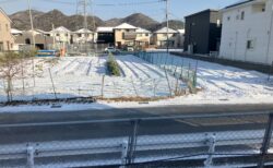 大雪のあと