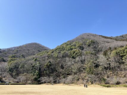 危ないところだった