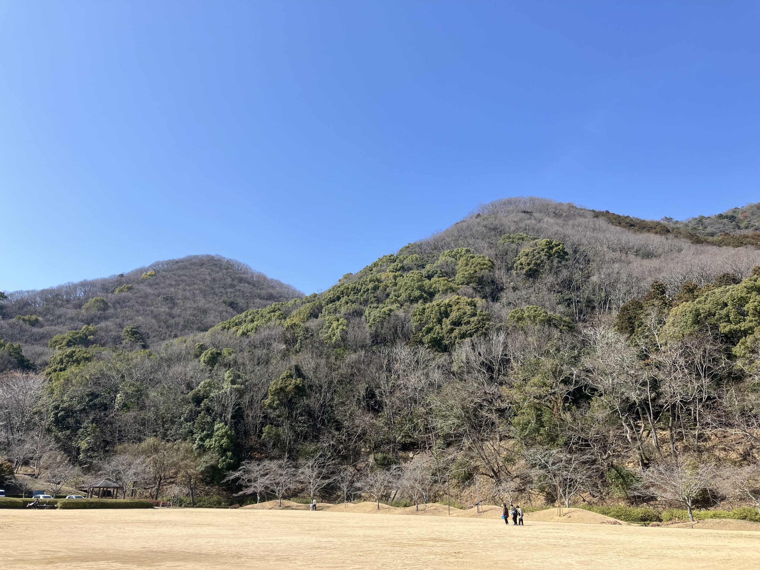 危ないところだった