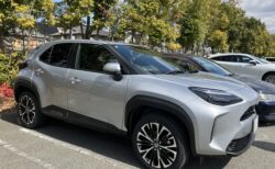 新しい仲間です