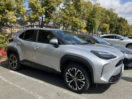 新しい仲間です