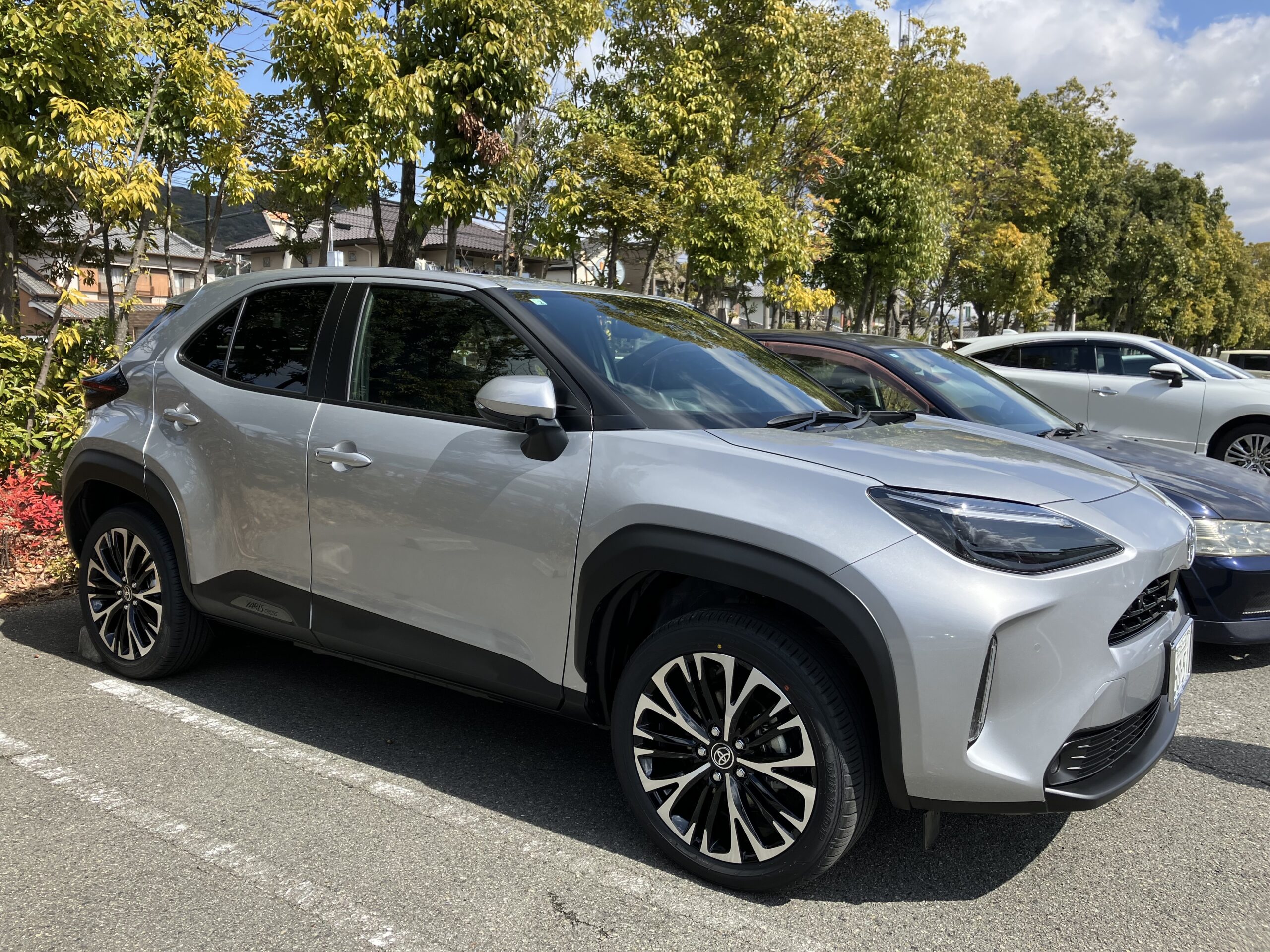 新しい仲間です