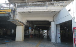 今朝の光は良かった