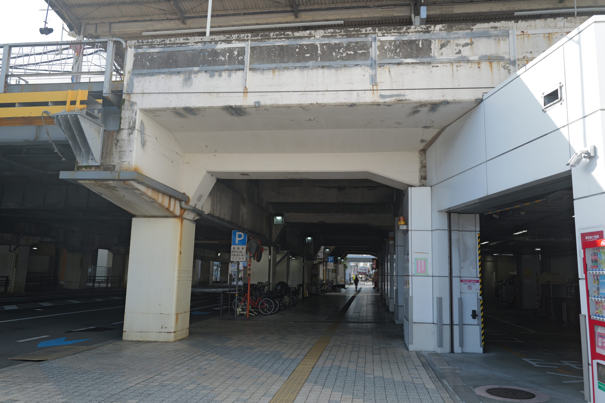 今朝の光は良かった